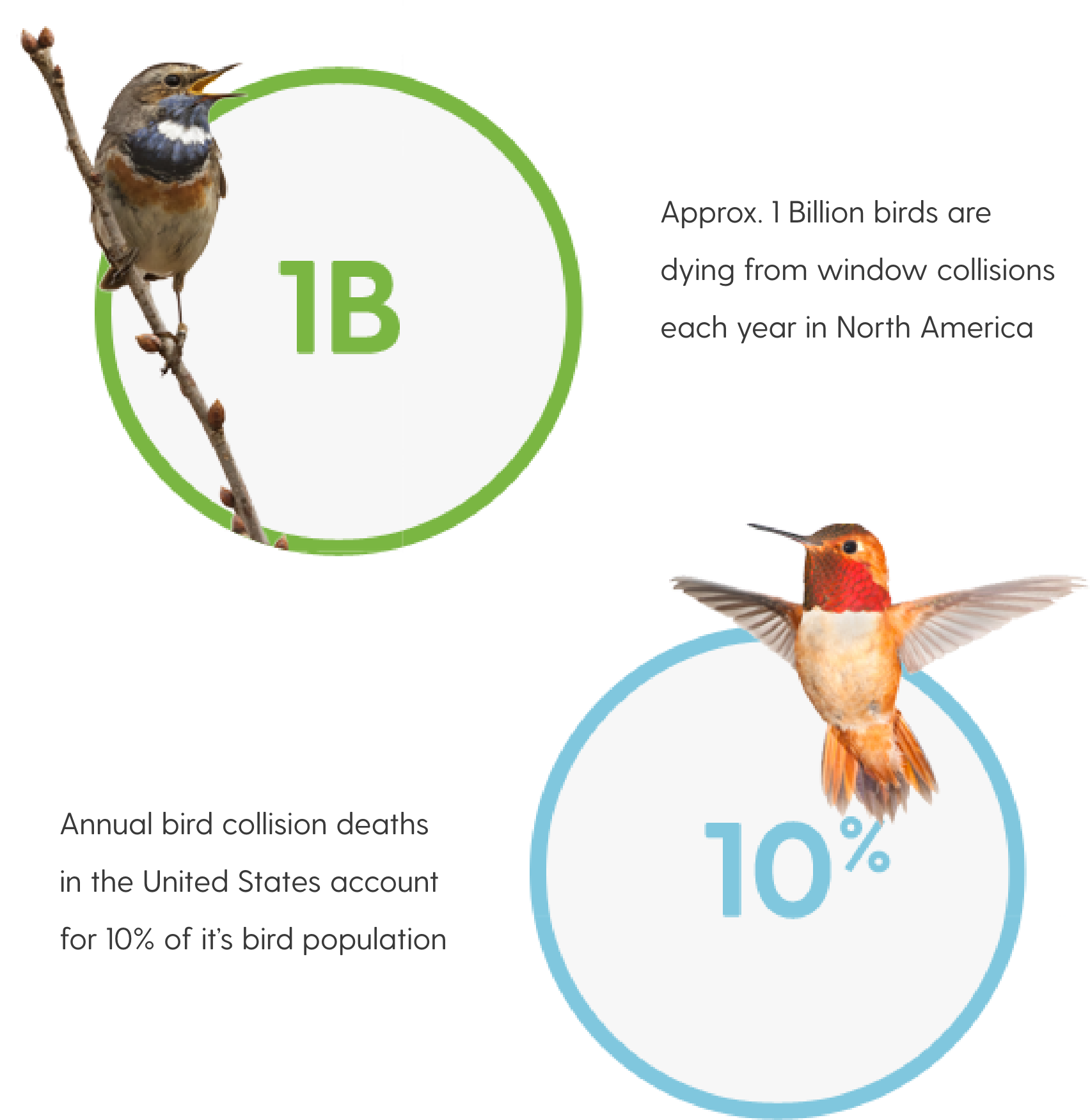 Bird-Diagram@3x