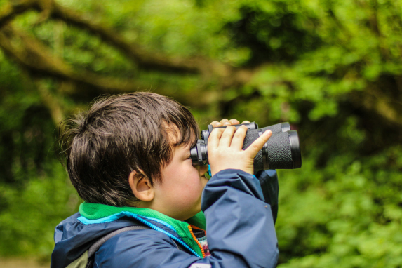 Fall in Love with These Bird-Friendly Activities This Autumn