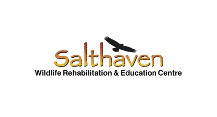 Ambassador Feature: Salthaven Wildlife Rehabilitation & Education Centre