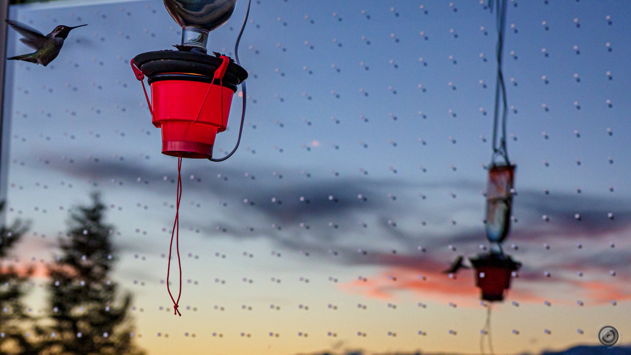 The Best Time of Year to Install Feather Friendly® Window Markers