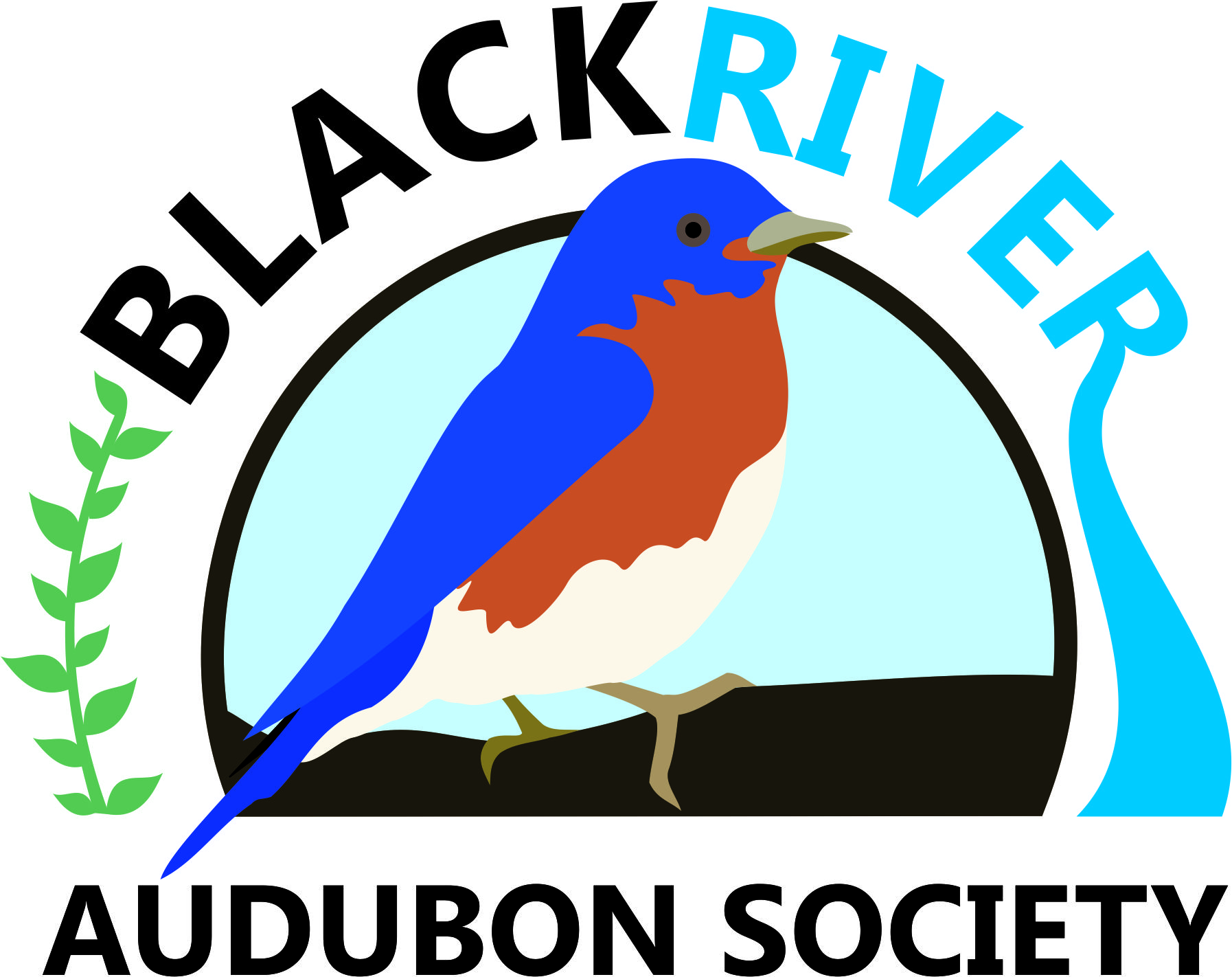 BlackRiverAudubonSocietylogo