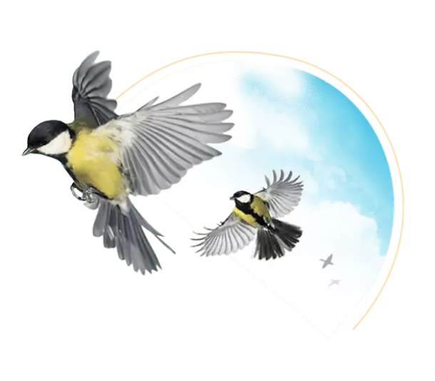 partners-featherfriendly-1